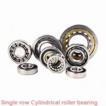 skf RNU 206 ECP Single row cylindrical roller bearings without an inner ring