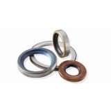 skf 920x980x30 HDS1 R Radial shaft seals for heavy industrial applications